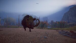 ACOD Erymanthian Boar.jpg