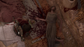 Thumbnail for version as of 00:29, 23 January 2026
