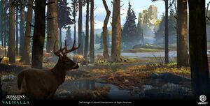 ACV Bellever Forest - Concept Art.jpg