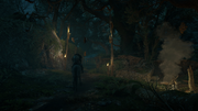 Eivor traversing into Aelfwood