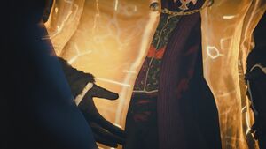 Starrick's wounds are regenerated by the shroud M4.JPG