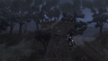 Thumbnail for version as of 00:18, 23 January 2026