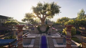 Elis-SoO-OlympicTree.jpg