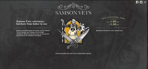 Search Engine - Samson Vets.jpg