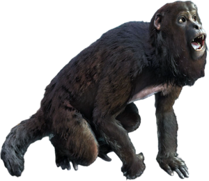 ACBFR DB Howler Monkey.png