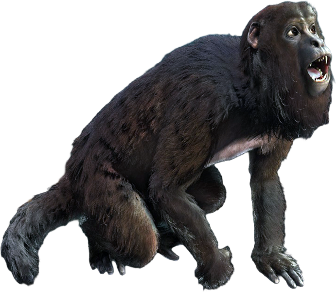 File:ACBFR DB Howler Monkey.png