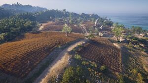 ACOd-Elis-LinouFarm.jpg