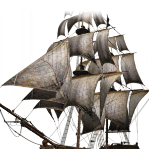 ACBFR Flower Sails.png
