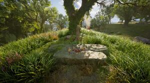 ACV Belas Knap Top Area.jpg