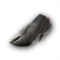 Thumbnail for version as of 00:27, 23 January 2026