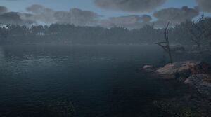 ACV Lough Tuam 1.jpg