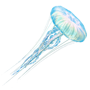 AC4DB - Jellyfish.png