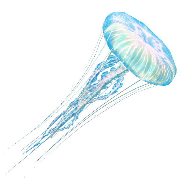 File:AC4DB - Jellyfish.png
