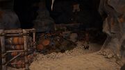 The cave