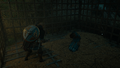 Thumbnail for version as of 00:21, 23 January 2026