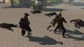 Thumbnail for version as of 00:09, 23 January 2026