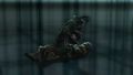 Thumbnail for version as of 00:24, 23 January 2026