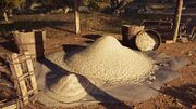 Mastic gathered in piles at the farm