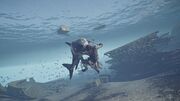 Kassandra fighting a shark in the bay