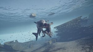 ACOd-Lesbos-StormfallBay-sharkfight.jpg