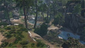 Old growth forest-0.png