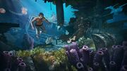 Edward finding a treasure chest in a shipwreck
