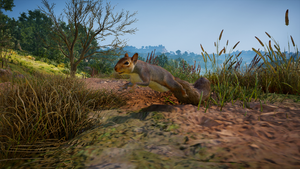 ACV Squirrel.png