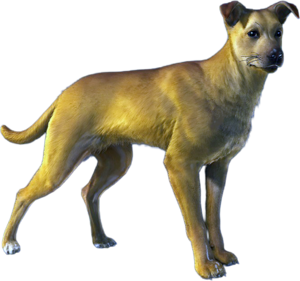 ACBFR DB Dog.png