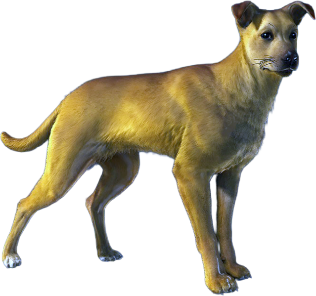 File:ACBFR DB Dog.png