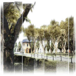 ACUDB - Champs-Elysees.png