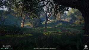 ACV Epinga Forest 13.jpg