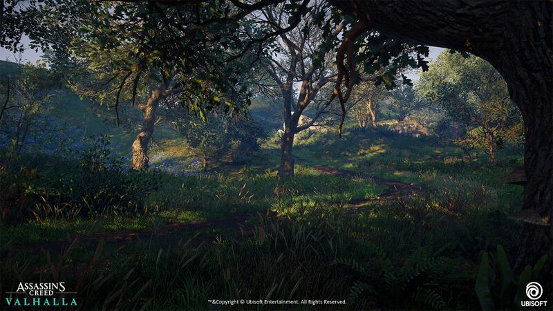 File:ACV Epinga Forest 13.jpg