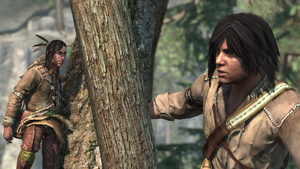ACIII-FeathersandTrees 1.png
