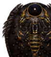 Thumbnail for version as of 00:14, 23 January 2026