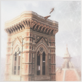 Thumbnail for version as of 00:30, 23 January 2026