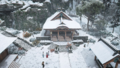 Thumbnail for version as of 00:10, 23 January 2026