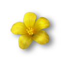 Thumbnail for version as of 00:07, 23 January 2026