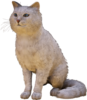 ACV Nali fullbody render.png