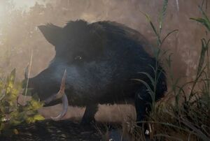 ACV The Blood Swine.jpg