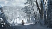 the snowy landscape