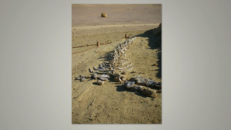 File:DT - Wadi Al-Hitan.jpg