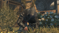 I HAS FOUND TEH FLY AGARIC MUST REPORT TO ASSASSINS GUILD MAY BE PUT BY TEMPLAR
