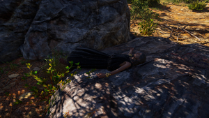 ACOD Chrysis' body.png