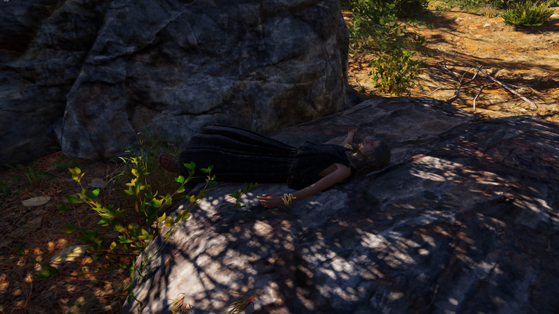 File:ACOD Chrysis' body.png