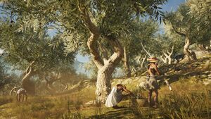 ACOd-olivepickers.jpg