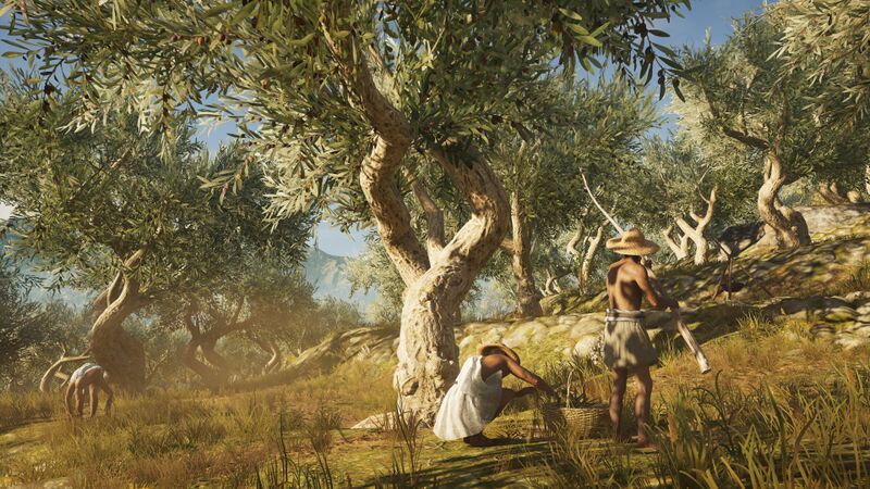 File:ACOd-olivepickers.jpg