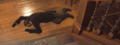 Thumbnail for version as of 00:11, 23 January 2026