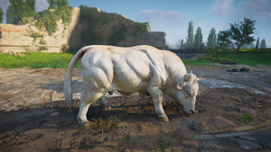ACV Ghost Auroch.png
