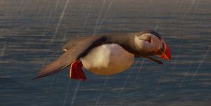 ACV Puffin.png