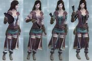 The Courtesan's colors in Multiplayer